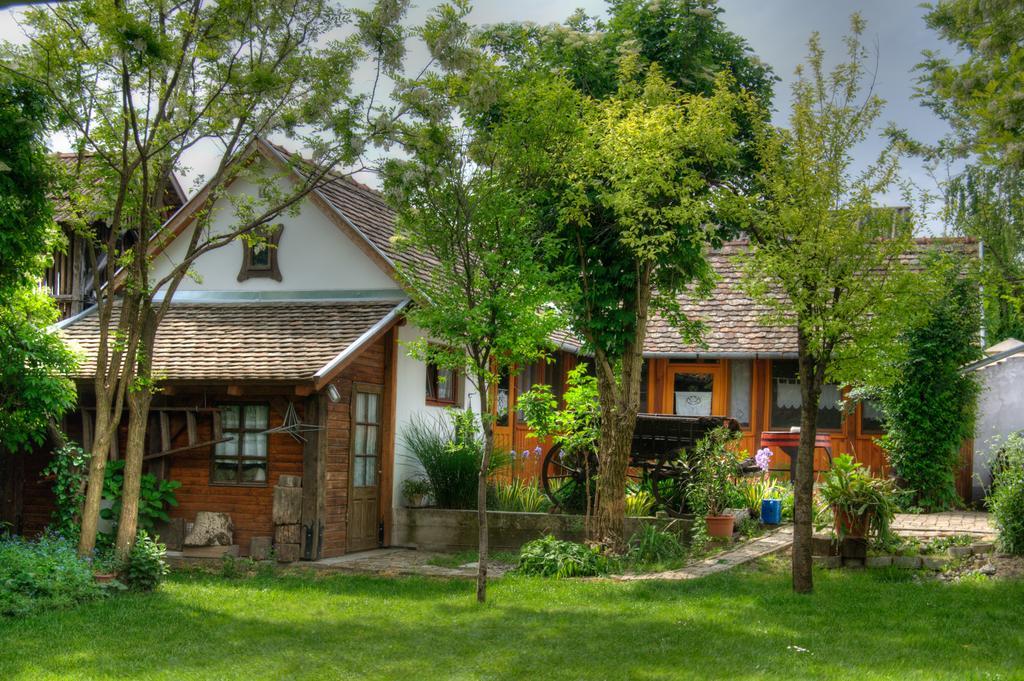 Ana Guesthouse Senta Exterior foto